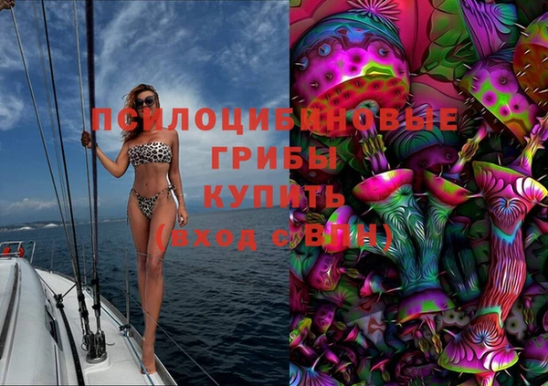 крисы Алексин