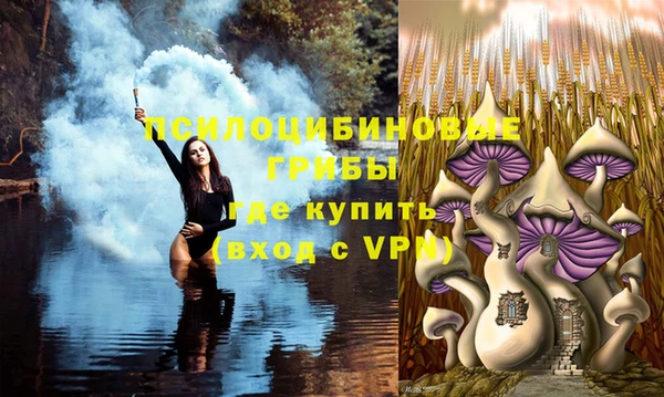 крисы Алексин
