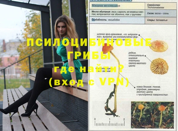 крисы Алексин
