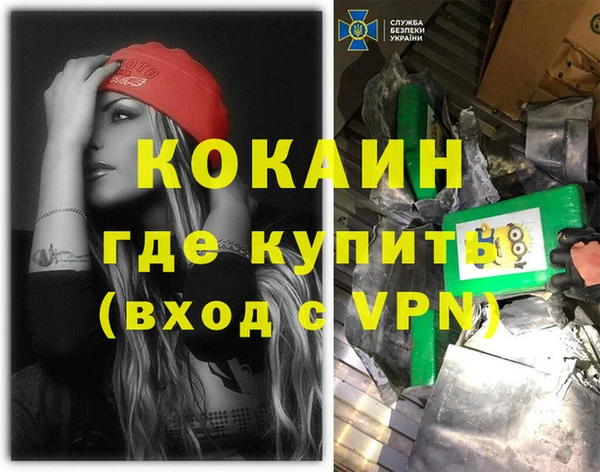 крисы Алексин