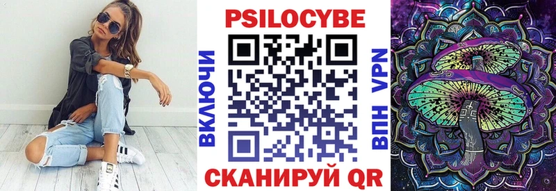 Псилоцибиновые грибы Cubensis  где можно купить   Шимановск 